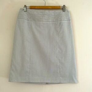 Sharagano Studio skirt